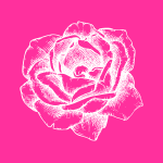 Rosas
