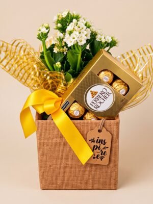 Kit Presente Flor Kalanchoe Branca no Cachepô com Ferrero Rocher 100g