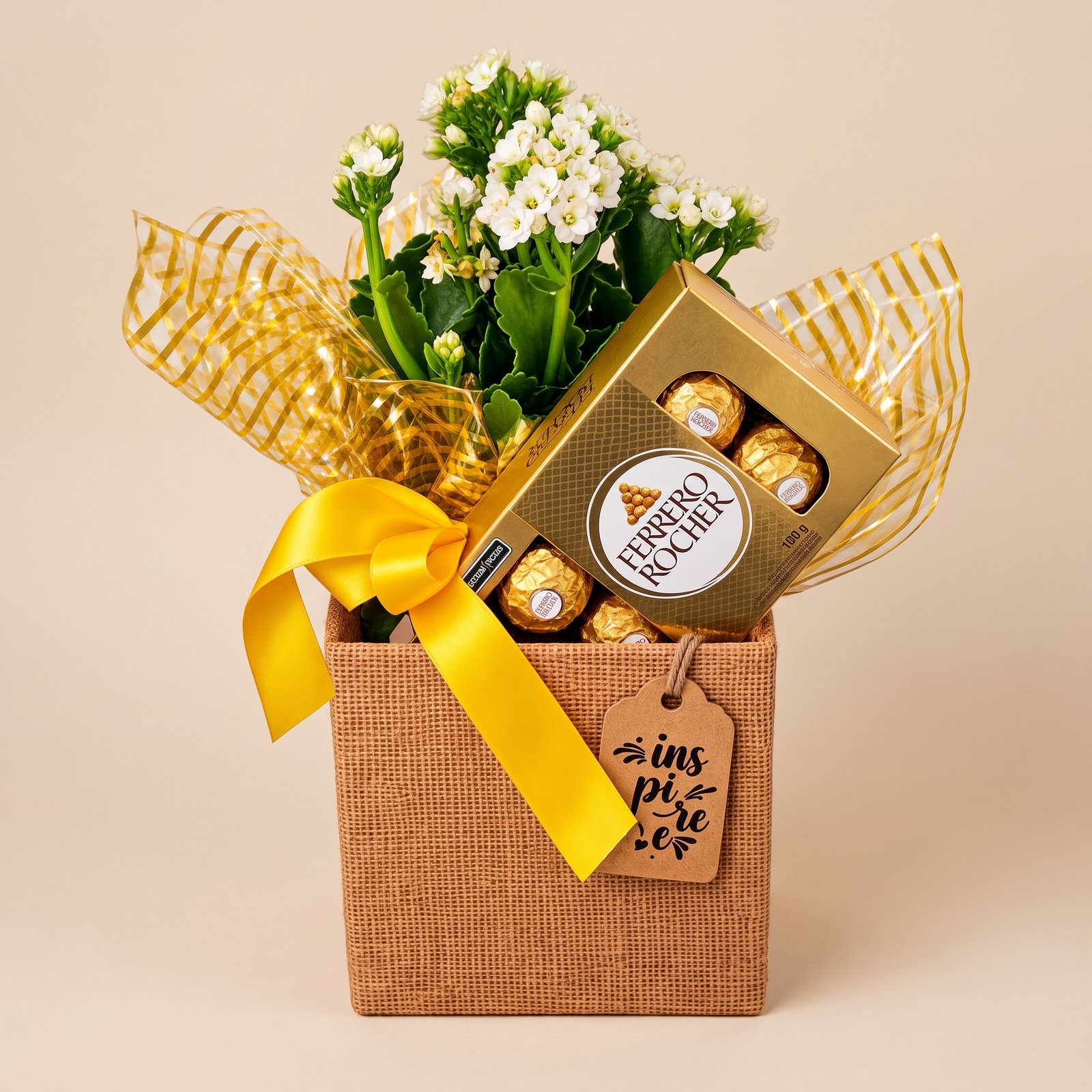 Kit Presente Flor Kalanchoe no Cachepô com Ferrero Rocher 100g 1 Kit Presente Flor Kalanchoe Branca no Cachepô com Ferrero Rocher 100g