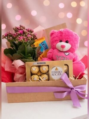 Kit Presente com Flor Kalanchoe Rosa, Urso de Pelúcia e Ferrero Rocher